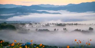 ทัวร์ไทย แม่ฮ่องสอน ทะเลหมอกหยุนไหล ปาย ปางอุ้ง 