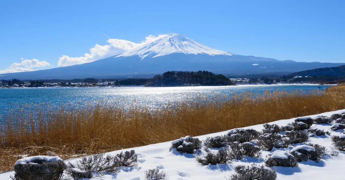 ทัวร์ญี่ปุ่น โตเกียว ฟูจิ โยโกฮาม่า คามาคุระ สักการะพระใหญ่ไดบุตสึ ชมวิวสวยสวนโออิชิปาร์ค (อิสระ 1 วัน )
