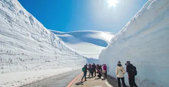 ทัวร์ญี่ปุ่น โอซาก้า เกียวโต ทาคายาม่า กำแพงหิมะ พิพิธภัณฑ์ไดโนเสาร