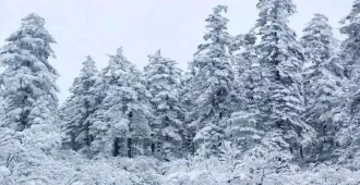 ทัวร์จีน ฉงชิ่ง เฉิงตู ผาแกะสลักต้าจู๋ ภูเขาหิมะวาวู่ซาน แช่น้ำพุร้อน (ไม่ลงร้าน)