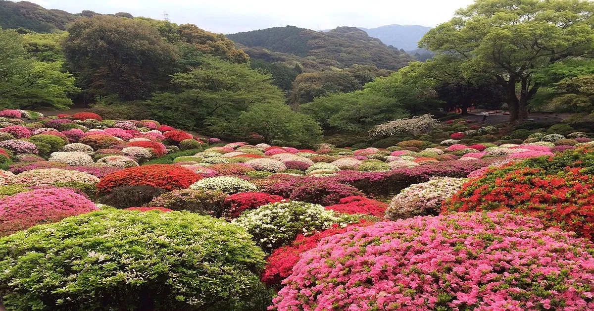 ทัวร์ญี่ปุ่น โอซาก้า ฟุกุโอกะ คิวชู คันไซ สวนมิฟุเนะยามะ ซุมะ ซีเวิลด์ (อิสระ 1 วัน)