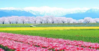 ทัวร์ญี่ปุ่น มหัศจรรย์ โอซาก้า โทยามะ เกียวโต มัตสึโมโต้ ฟูจิ สวนอาซาฮิฟุนะคาวะ วัดคินคะคุจิ (พัก Onsen 1 คืน)