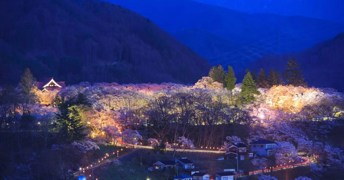 ทัวร์ญี่ปุ่น โอซาก้า โตเกียว ชมซากุระปราสาททาคาโตะ แฮรรี่ พอตเตอร์ สตูดิโอโตเกียว (อิสระ 1 วัน+พักออนเซน 2 คืน)