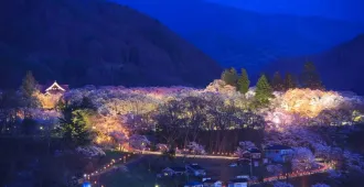 ทัวร์ญี่ปุ่น โอซาก้า โตเกียว ชมซากุระปราสาททาคาโตะ แฮรรี่ พอตเตอร์ สตูดิโอโตเกียว (อิสระ 1 วัน+พักออนเซน 2 คืน)