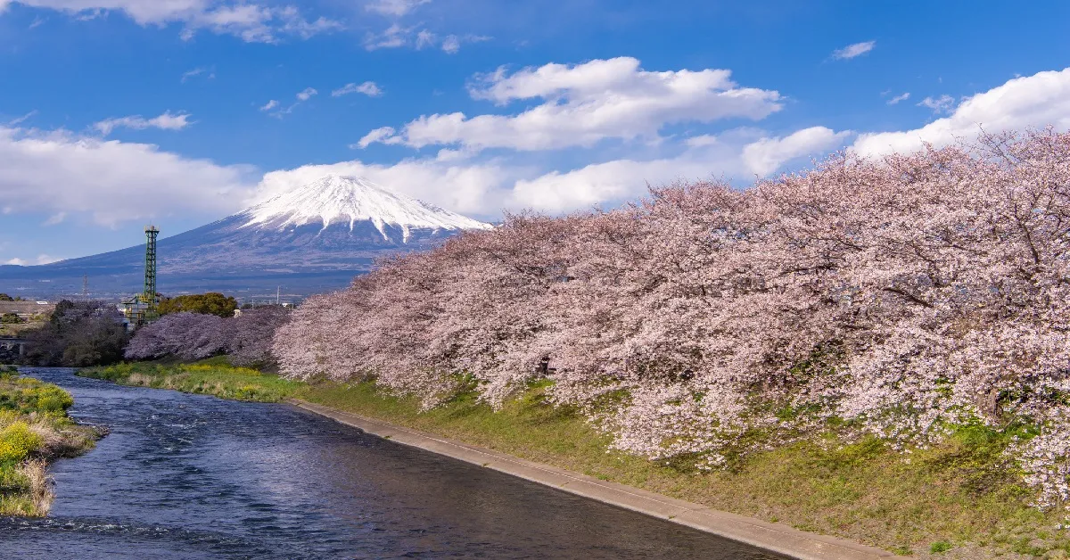 ทัวร์ญี่ปุ่น มหัศจรรย์ โตเกียว ฟูจิ ซากุระแม่น้ำอุรุอิ หุบเขาโอวาคุดานิ (อิสระ 1 วัน)