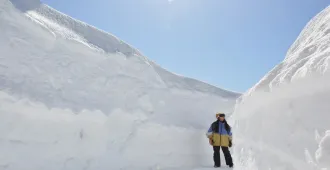 ทัวร์ญี่ปุ่น ฮาคุบะ ฟูจิ โตเกียว กำแพงหิมะสึไกเกะ หมู่บ้านชิราคาวะโกะ (อิสระ 1 วัน)