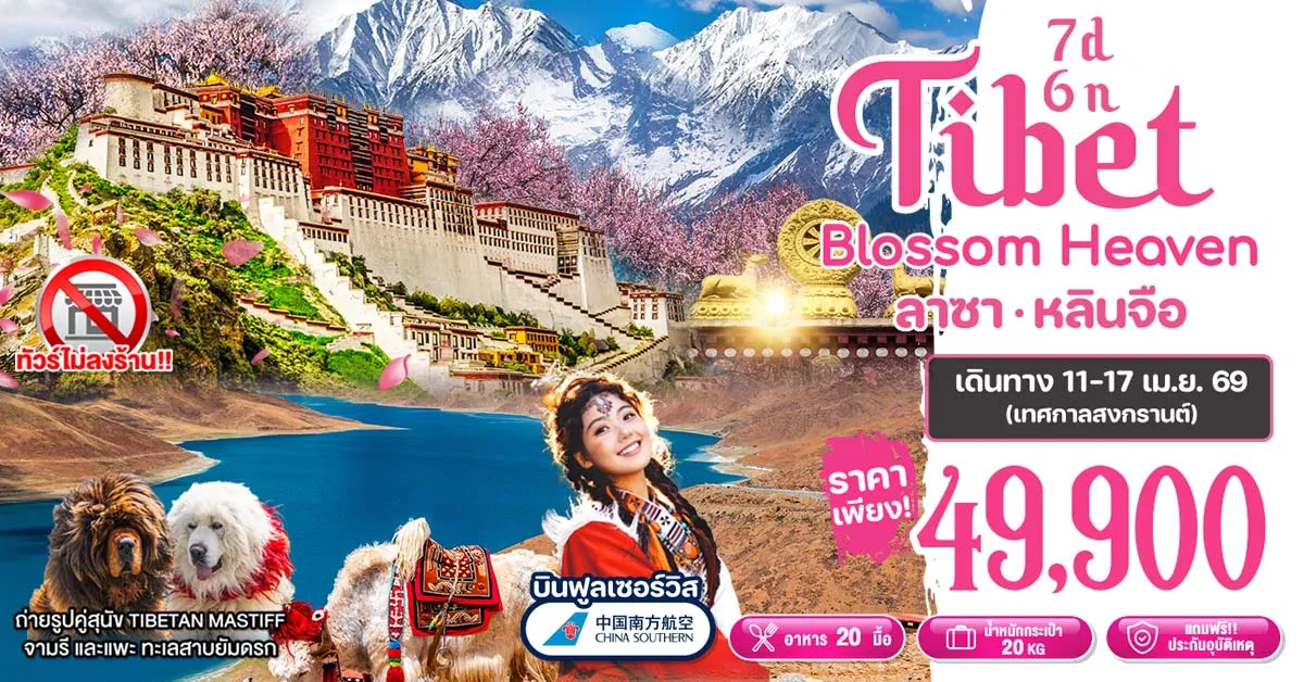 ทัวร์จีน ทิเบต ลาซา หลินจือ ชมทะเลสาบยัมดรกและทะเลสาบบาซัม (ไม่ลงร้าน) 