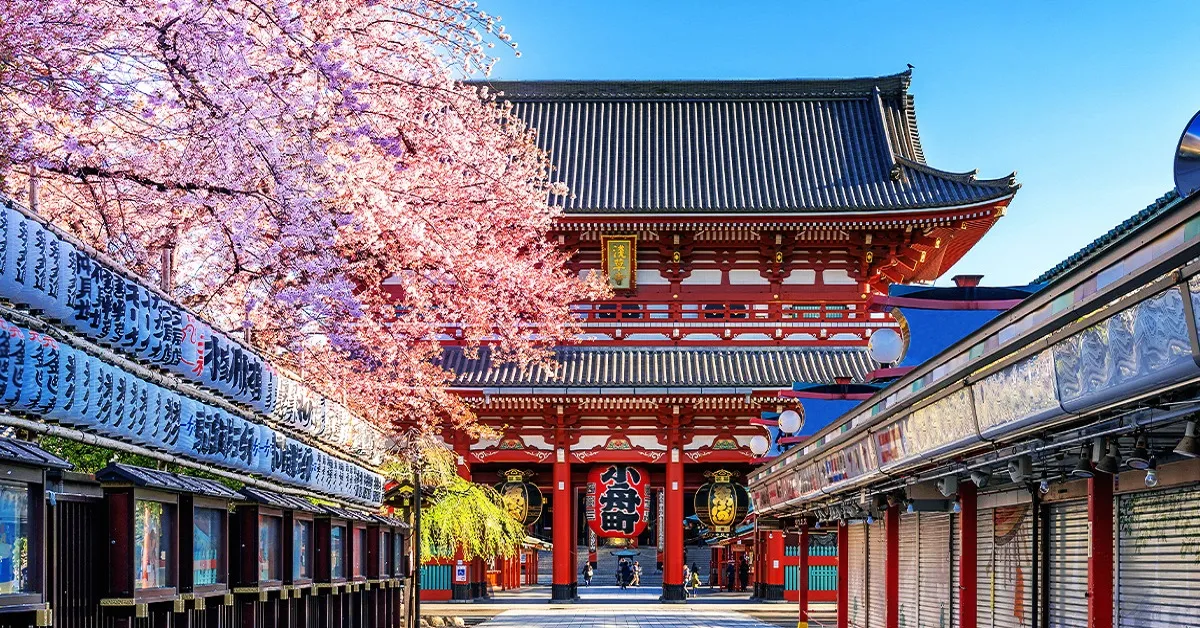 ทัวร์ญี่ปุ่น มหัศจรรย์ โตเกียว ฟูจิ เทศกาลชิบะซากุระ พิ้งค์มอส (อิสระ 1 วัน)