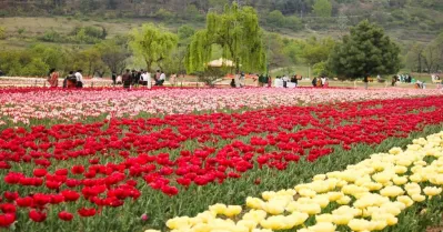 รูปภาพทัวร์