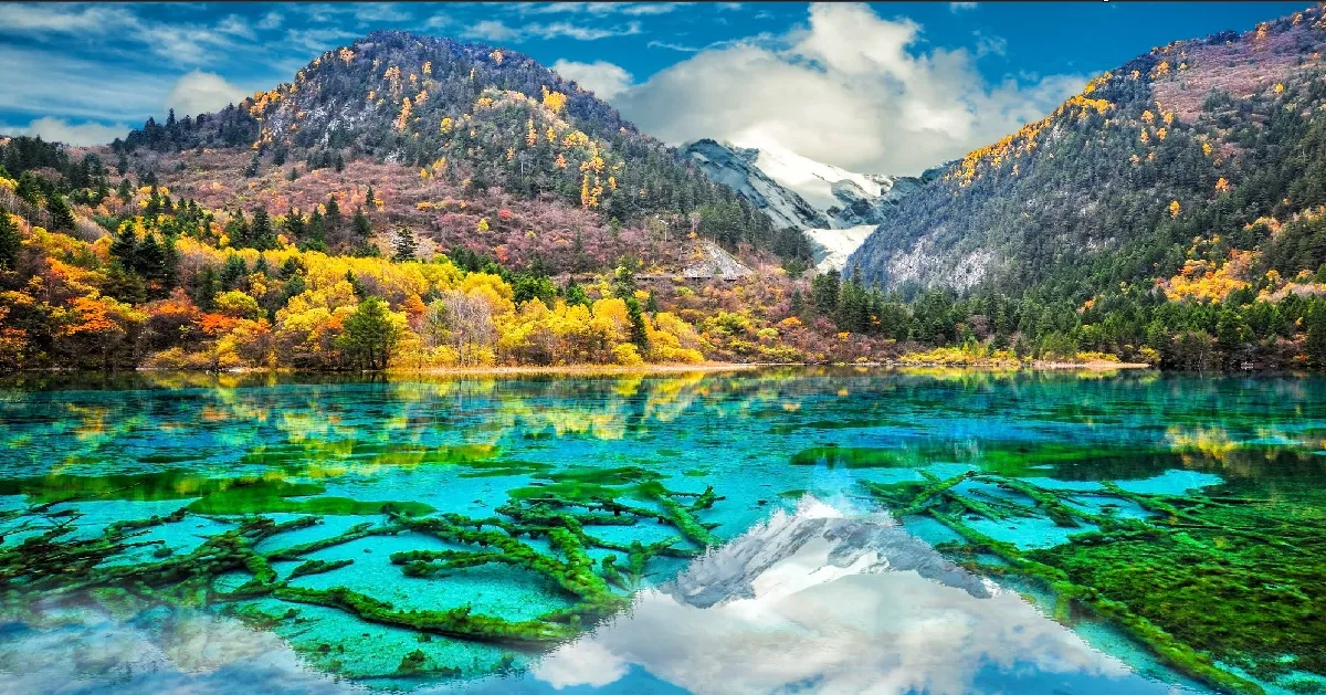 ทัวร์จีน คุณธรรม เฉิงตู จิ่วจ้ายโกว เล่อซาน สี่ดรุณี ปี้เผิงโกว นั่งรถไฟความเร็วสูง (ไม่ลงร้าน)