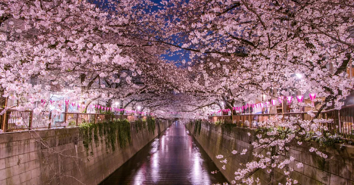 ทัวร์ญี่ปุ่น โตเกียว ฟูจิ ชมซากุระสวนอุเอโนะ(พักออนเซ็น 1 คืน+อิสระ 1 วัน)