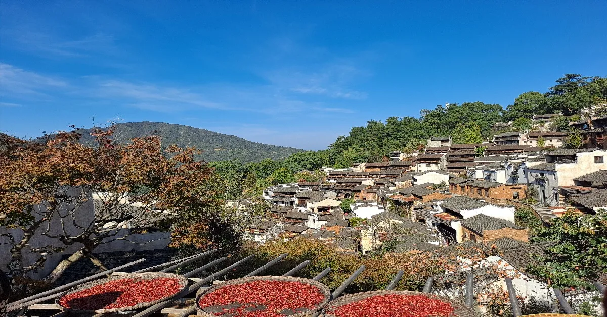 ทัวร์จีน หังโจว ซูโจว ซ่างเหรา หุบเขาเทวดาหวั่งเซียนกู่ หมู่บ้านหวงหลิง อุทยานป่าสนมัทฉะ (ลงร้าน)