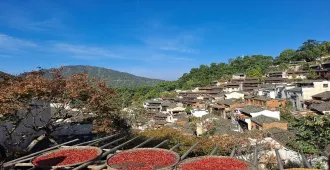 ทัวร์จีน หังโจว ซูโจว ซ่างเหรา หุบเขาเทวดาหวั่งเซียนกู่ หมู่บ้านหวงหลิง อุทยานป่าสนมัทฉะ (ลงร้าน)