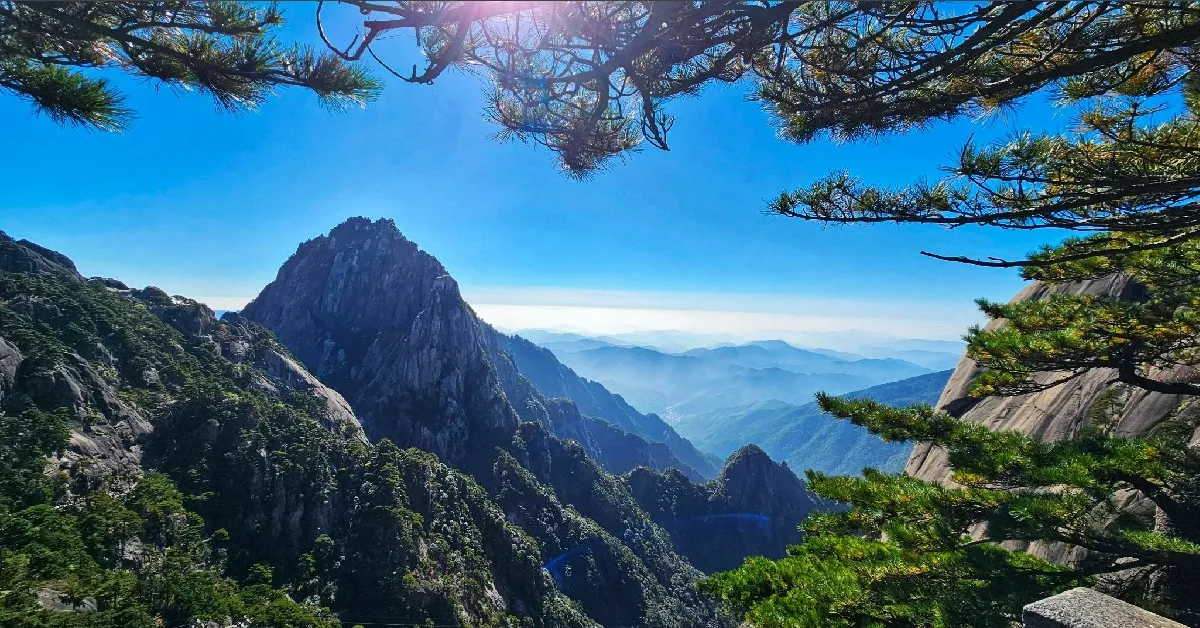 ทัวร์จีน หังโจว หวงซาน เขาหวงซาน เมืองโบราณเฉิงข่าน ป่าสนมัทฉะ (ลงร้าน)