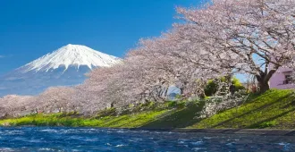 ทัวร์ญี่ปุ่น โตเกียว ฟูจิ โอไดบะ ชมซากุระ (เที่ยวอิสระ 1 วัน)