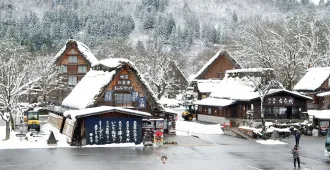 ทัวร์ญี่ปุ่น ฮาคุบะ อิวาตาเกะ ฟูจิ โตเกียว หมู่บ้านชิราคาวาโกะ ทะเลสาบคาวากุจิโกะ (อิสระ 1 วัน)