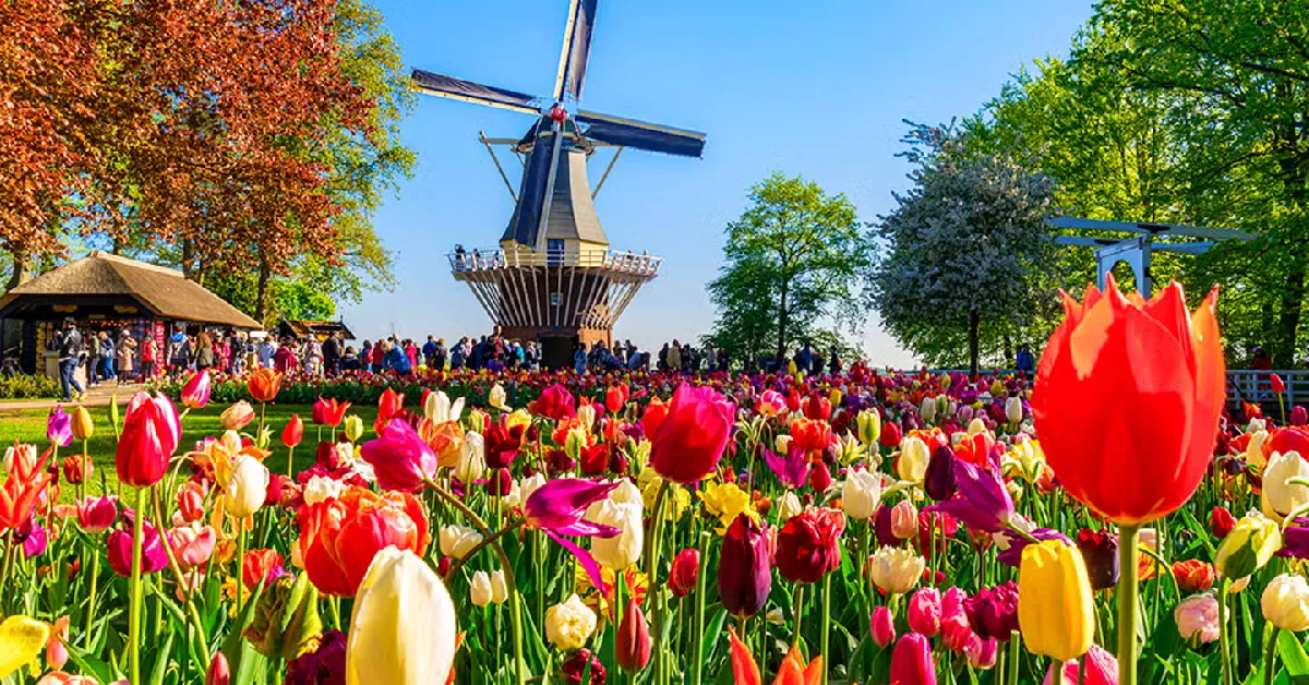 Europe France Belgium Luxembourg Netherlands Keukenhof Seine River Cruise Brussels - ทัวร์ยุโรป ฝรั่งเศส เบลเยี่ยม ลักเซมเบิร์ก เนเธอร์แลนด์ สวนเคอเคนฮอฟ ล่องเรือชมแม่น้ำแซนน์ บรัสเซลส์