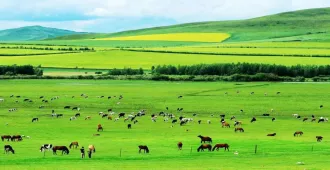 ทัวร์จีน มหัศจรรย์ มองโกเลียใน ออร์ดอส เที่ยวอุทยานภูเขาไฟอูลันดา (ไม่ลงร้าน)