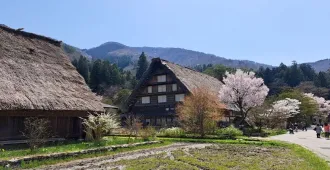 ทัวร์ญี่ปุ่น โอซาก้า เกียวโต ทาคายาม่า ซากุระ หมู่บ้านชิราคาวาโกะ