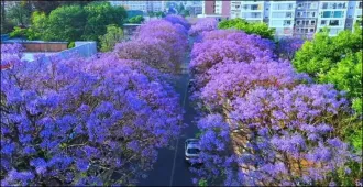 ทัวร์จีน มหัศจรรย์ คุนหมิง ต้าหลี่ ลี่เจียง สวนดอกไม้แห่งยูนนาน นั่งรถไฟความเร็วสูง (ไม่ลงร้าน)