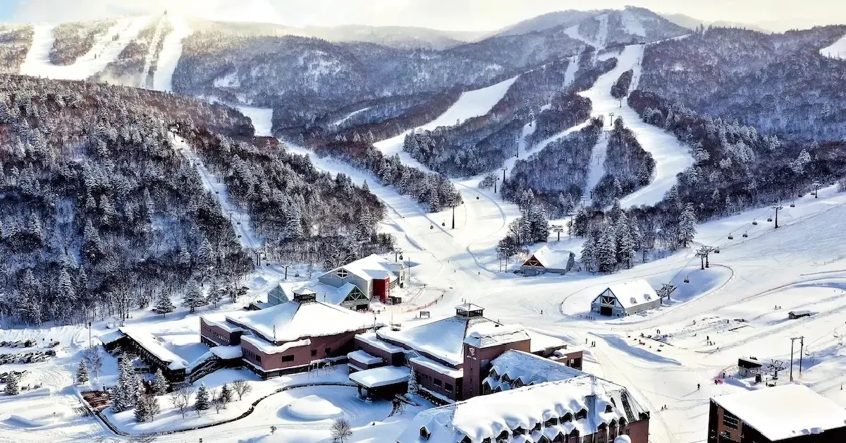 ทัวร์ญี่ปุ่น ฮอกไกโด ซัปโปโร ฮาโกดาเตะ สกีคิโรโระ