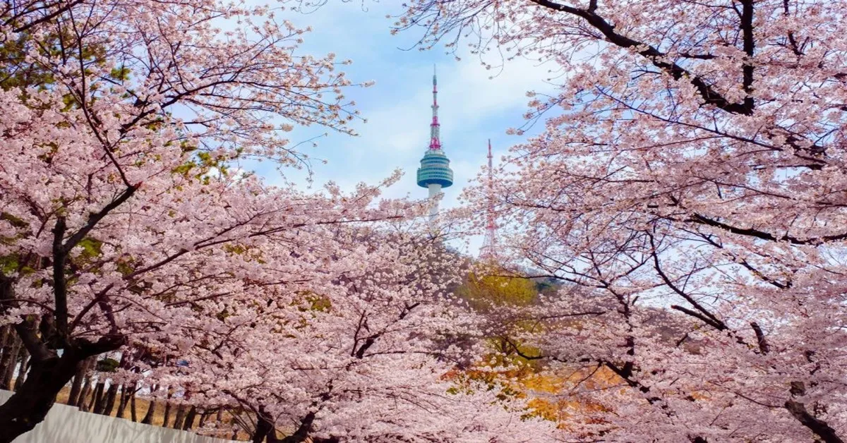 ทัวร์เกาหลี โซล เกาะนามิ วัดชินฮึงซา ศาลาคยองฮเวรูกวาน ชมดอกซากุระซอรัคซาน (พักซอรัคซาน 1 คืน)