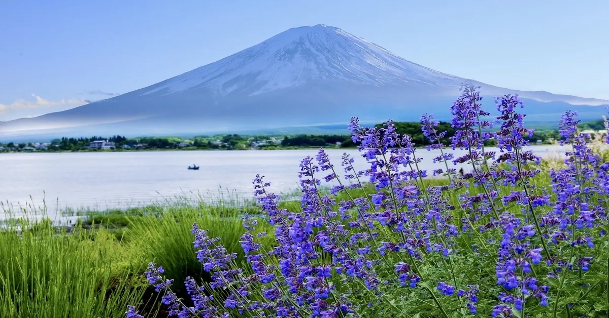 ทัวร์ญี่ปุ่น มหัศจรรย์ โตเกียว คาวาโกเอะ ภูเขาไฟฟูจิ สวนโออิชิปาร์ค (อิสระ 1 วัน)