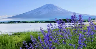 ทัวร์ญี่ปุ่น มหัศจรรย์ โตเกียว คาวาโกเอะ ภูเขาไฟฟูจิ สวนโออิชิปาร์ค (อิสระ 1 วัน)