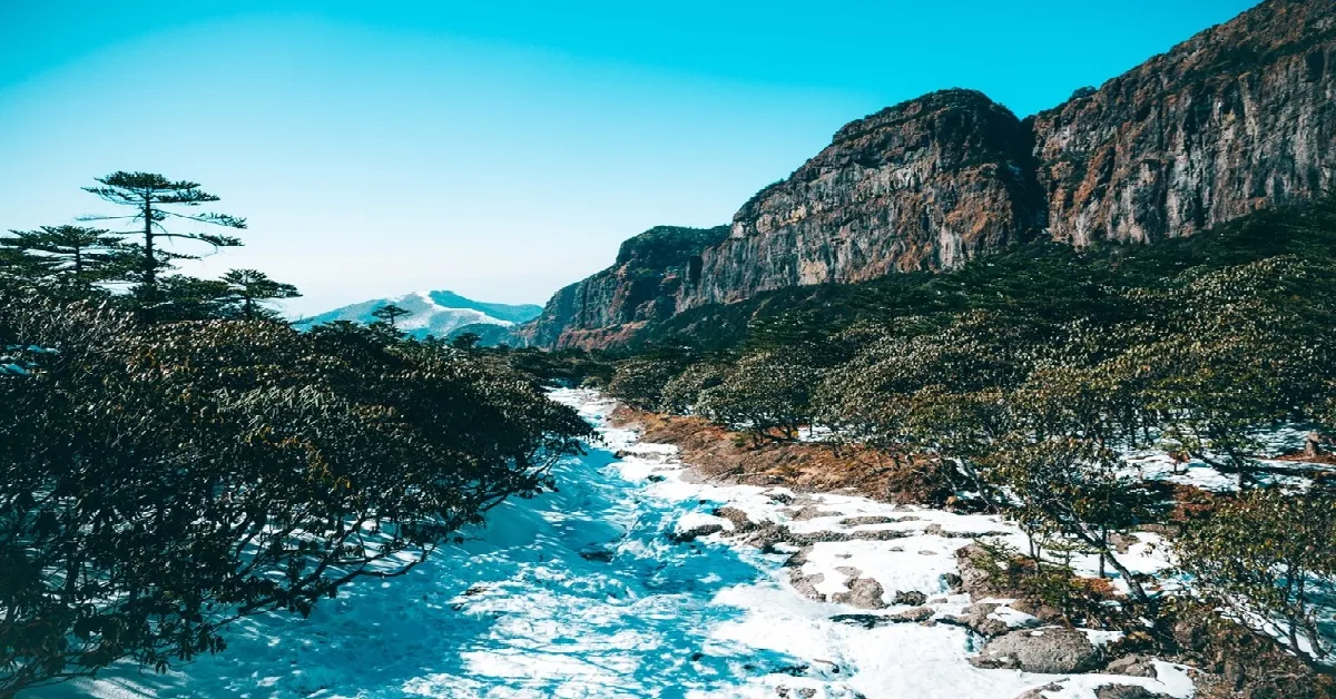 ทัวร์จีน คุนหมิง ภูเขาหิมะเจียวจื่อ ทุ่งดอกมัสตาร์ด ซากุระบานพันลี้ (ไม่ลงร้าน)