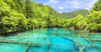 ทัวร์จีน ซุปตาร์ เฉิงตู ปี้เผิงโกว เขาสี่ดรุณี หุบเขาแพนด้า