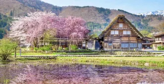 ทัวร์ญี่ปุ่น โอซาก้า เกียวโต ชิราคาวาโกะ ทาคายามะ ชมความงามหมู่บ้านมรดกโลก (อิสระ 1 วัน)