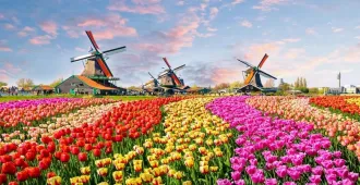 Europe Netherlands Belgium France Keukenhof - ทัวร์ยุโรป เนเธอร์แลนด์ เบลเยี่ยม ฝรั่งเศส เคอเคนฮอฟ เข้าชมพระราชวังแวร์ซายน์