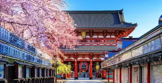 ทัวร์ญี่ปุ่น โตเกียว ซากุระ ชูเรโตะ พาโกดะ วัดอาซากุสะ วัดนาริตะซันชินโชจิ (พักโรงแรมออนเซ็น 1 คืน)