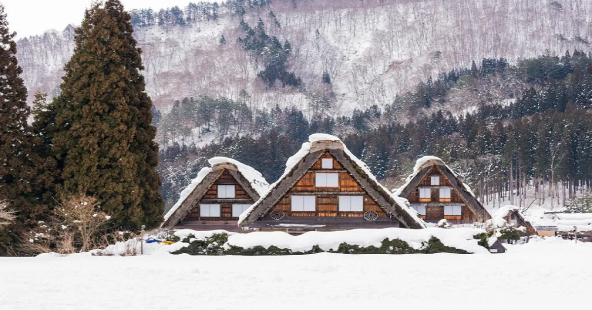 ทัวร์ญี่ปุ่น โอซาก้า ทาคายาม่า ชิราคาวาโกะ เกียวโต นารา หมู่บ้านชิราคาวาโกะ (อิสระ 1 วัน)