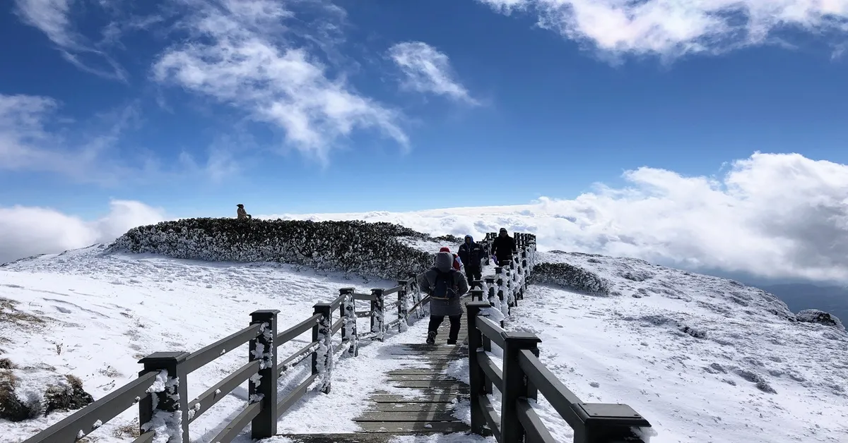 ทัวร์จีน คุนหมิง ตำหนักทอง วัดหยวนทง นั่งกระเช้าขึ้นภูเขาเจียวจื่อ (ลงร้าน)