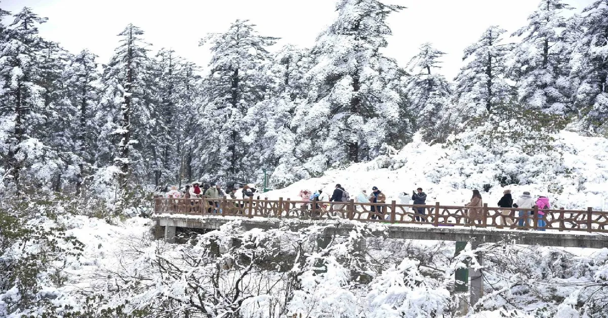 ทัวร์จีน เฉิงตู ตูเจียงเอี้ยน เล่อซาน ง้อไบ๊ ปี้เผิงโกว ภูเขาหิมะวาวู่ (บินตรงเชียงใหม่ + ไม่ลงร้าน)