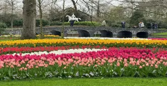Benelux Germany Netherlands Belgium Luxembourg Brussels Amsterdam Frankfurt Cologne Keukenhof - ทัวร์เบเนลักซ์ เยอรมัน เนเธอร์แลนด์ เบลเยียม ลักเซมเบิร์ก บรัสเซลส์ อัมสเตอร์ดัม แฟรงก์เฟิร์ต โคโลญ สวนเคอเคนฮอฟ (บินตรง)