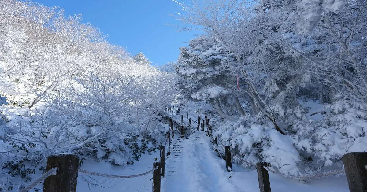 ทัวร์เกาหลี เชจู เขาฮัลลาซาน ชายหาดควังชีกี (อิสระ 1 วัน)