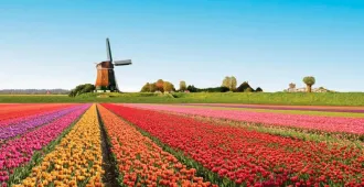 Benelux Netherlands Luxembourg Belgium Keukenhof Bruges - ทัวร์เบเนลักซ์ เนเธอร์แลนด์ ลักเซมเบิร์ก เบลเยี่ยม เทศกาลดอกไม้เคอเคนฮอฟ บรูกก์