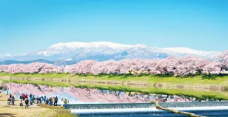 ทัวร์ญี่ปุ่น โทโฮกุ เซนได อิวาเตะ ชมซากุระพันต้น ฮิโตะเมะ เซ็มบงซากุระ (พักออนเซ็น 1 คืน)