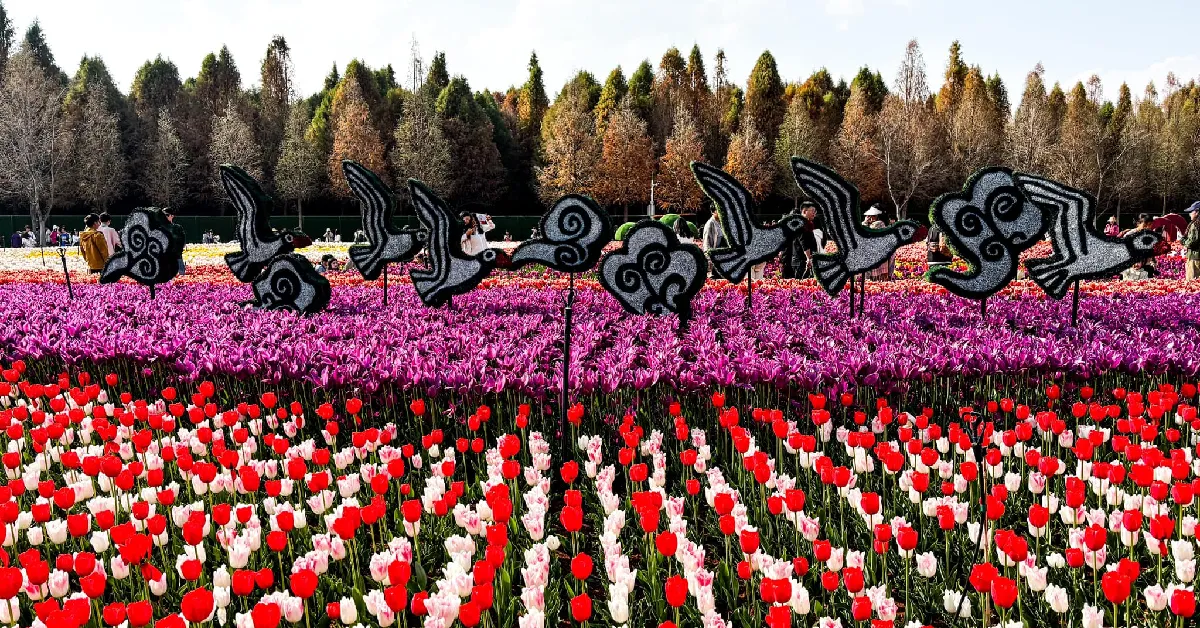 ทัวร์จีน คุนหมิง โล่วผิง อี้เหลียง เทศกาลดอกไม้ (ไม่ลงร้าน)