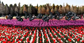 ทัวร์จีน คุนหมิง โล่วผิง อี้เหลียง เทศกาลดอกไม้ (ไม่ลงร้าน)