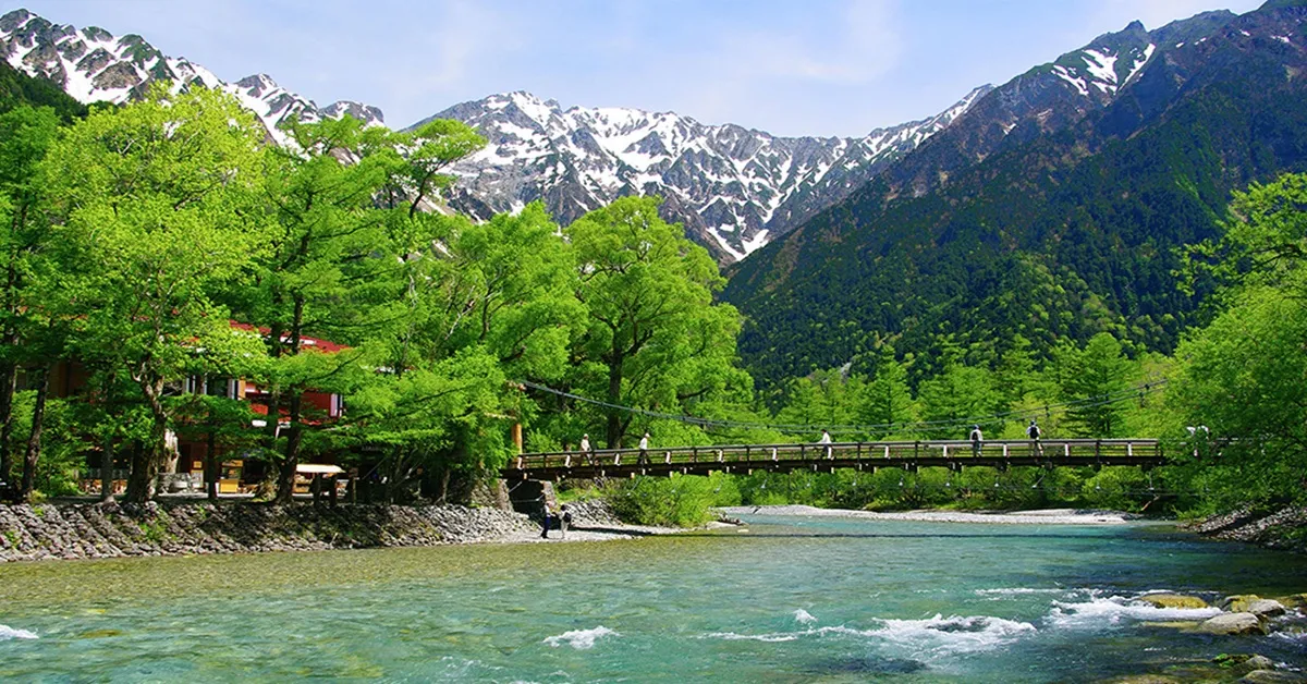 ทัวร์ญี่ปุ่น มหัศจรรย์ มัตสึโมโต้ คามิโคจิ ฟูจิ ชมดอกลาเวนเดอร์