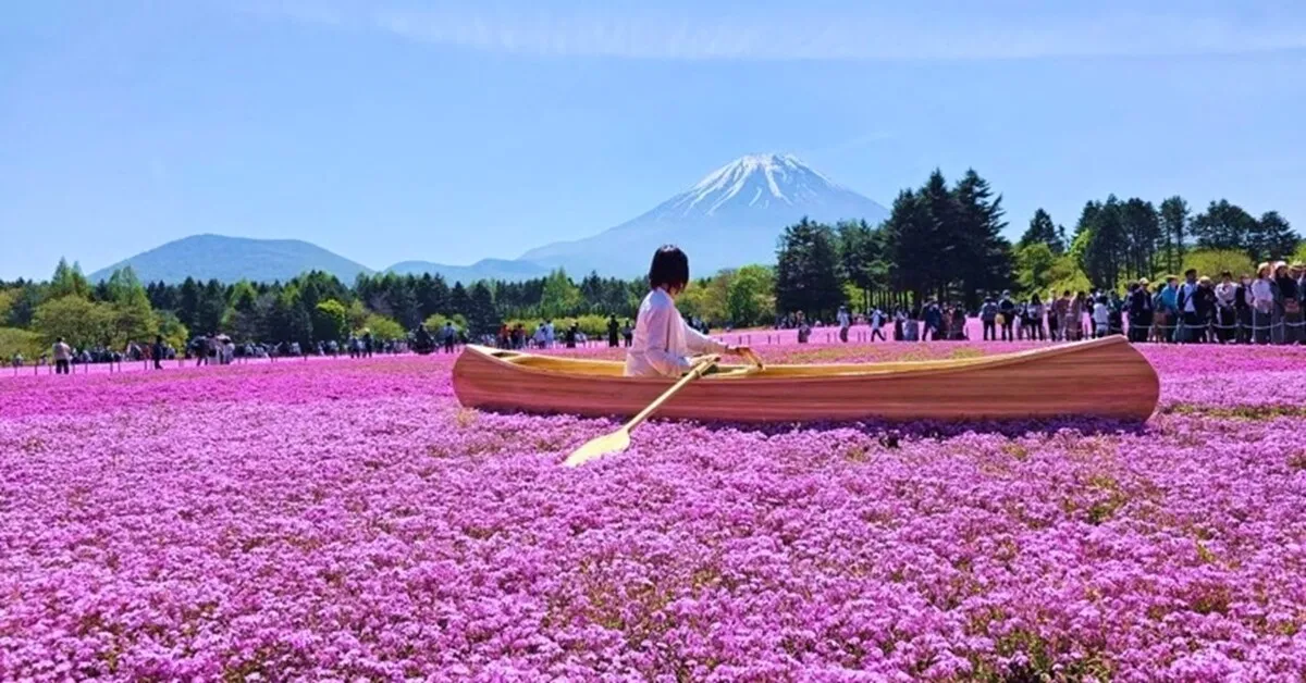 ทัวร์ญี่ปุ่น โอซาก้า โตเกียว ฟูจิ ฮาคุบะ นารา หมู่บ้านชิราคาวาโกะ เทศกาลฟูจิชิบะซากุระ