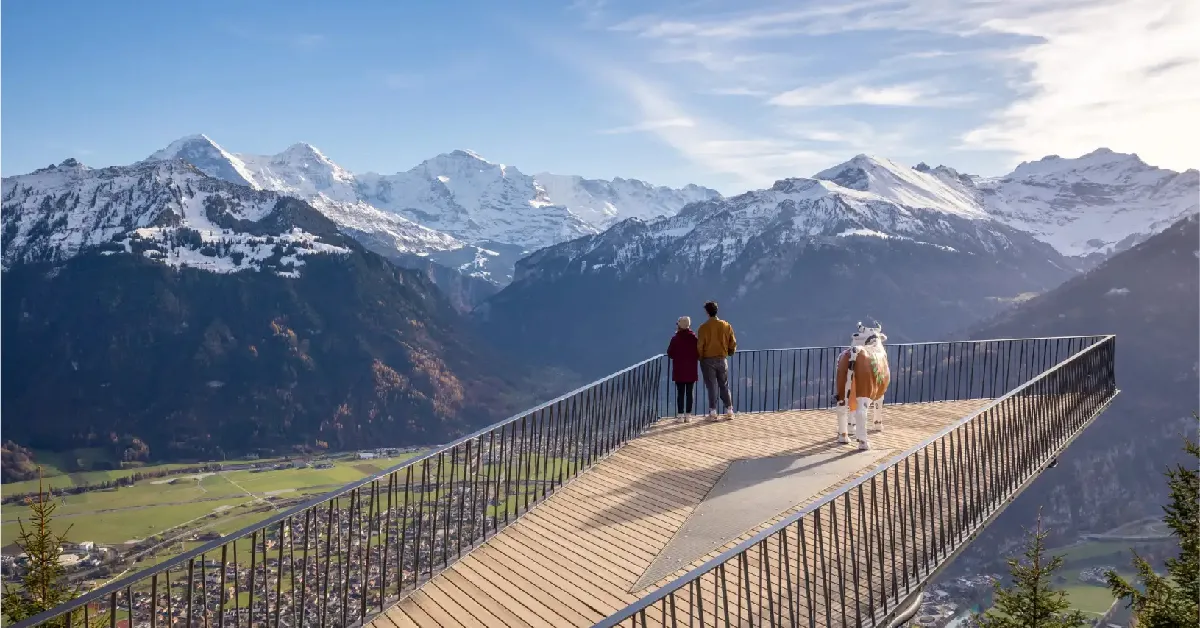 Europe Germany Austria Switzerland Neuschwanstein Castle Hallstatt Harder kulm - ทัวร์ยุโรป เยอรมัน ออสเตรีย สวิตเซอร์แลนด์ ปราสาทนอยชวานสไตน์ ฮัลล์สตัทท์ ยอดเขาฮาร์ดเดอร์คลุม