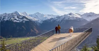 Europe Germany Austria Switzerland Neuschwanstein Castle Hallstatt Harder kulm - ทัวร์ยุโรป เยอรมัน ออสเตรีย สวิตเซอร์แลนด์ ปราสาทนอยชวานสไตน์ ฮัลล์สตัทท์ ยอดเขาฮาร์ดเดอร์คลุม
