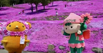 ทัวร์ญี่ปุ่น ฮอกไกโด อาซาฮิกาว่า ซัปโปโร น้ำตกกิงกะและน้ำตกริวเซ ทุ่งดอกพิงค์มอส