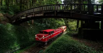 ทัวร์ไต้หวัน ไถจง หนานโถว ไทเป นั่งรถไฟชมอุทยานอาลีซาน 