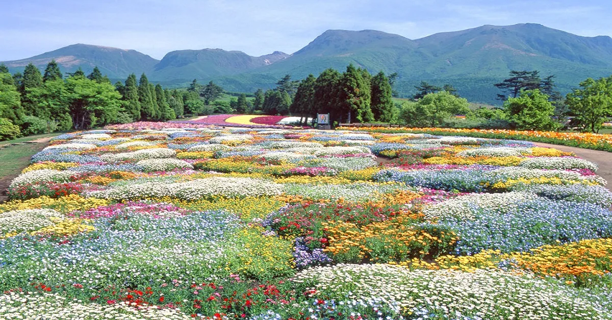 ทัวร์ญี่ปุ่น ฟุกุโอกะ สวนดอกไม้คูจู ศาลเจ้าดาไซฟุ (อิสระ 1 วัน) 