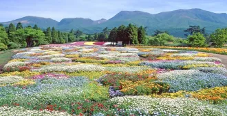 ทัวร์ญี่ปุ่น ฟุกุโอกะ สวนดอกไม้คูจู ศาลเจ้าดาไซฟุ (อิสระ 1 วัน) 